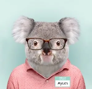 KOALA’s New Tiered Membership Program Post Thumbnail